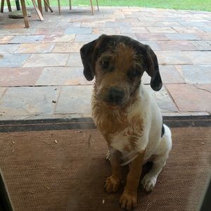 Meet your Posher, Launa